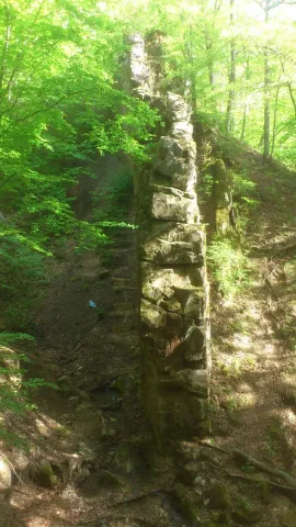 dsc_0445.jpg