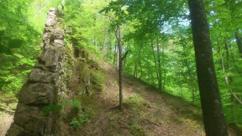 dsc_0468.jpg