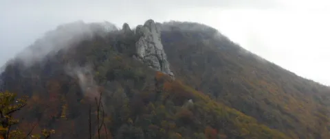 mezetsu-teaser.jpg
