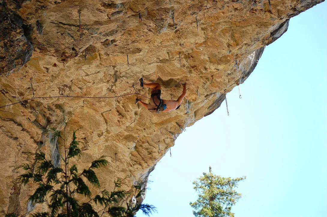 Climbing a roof