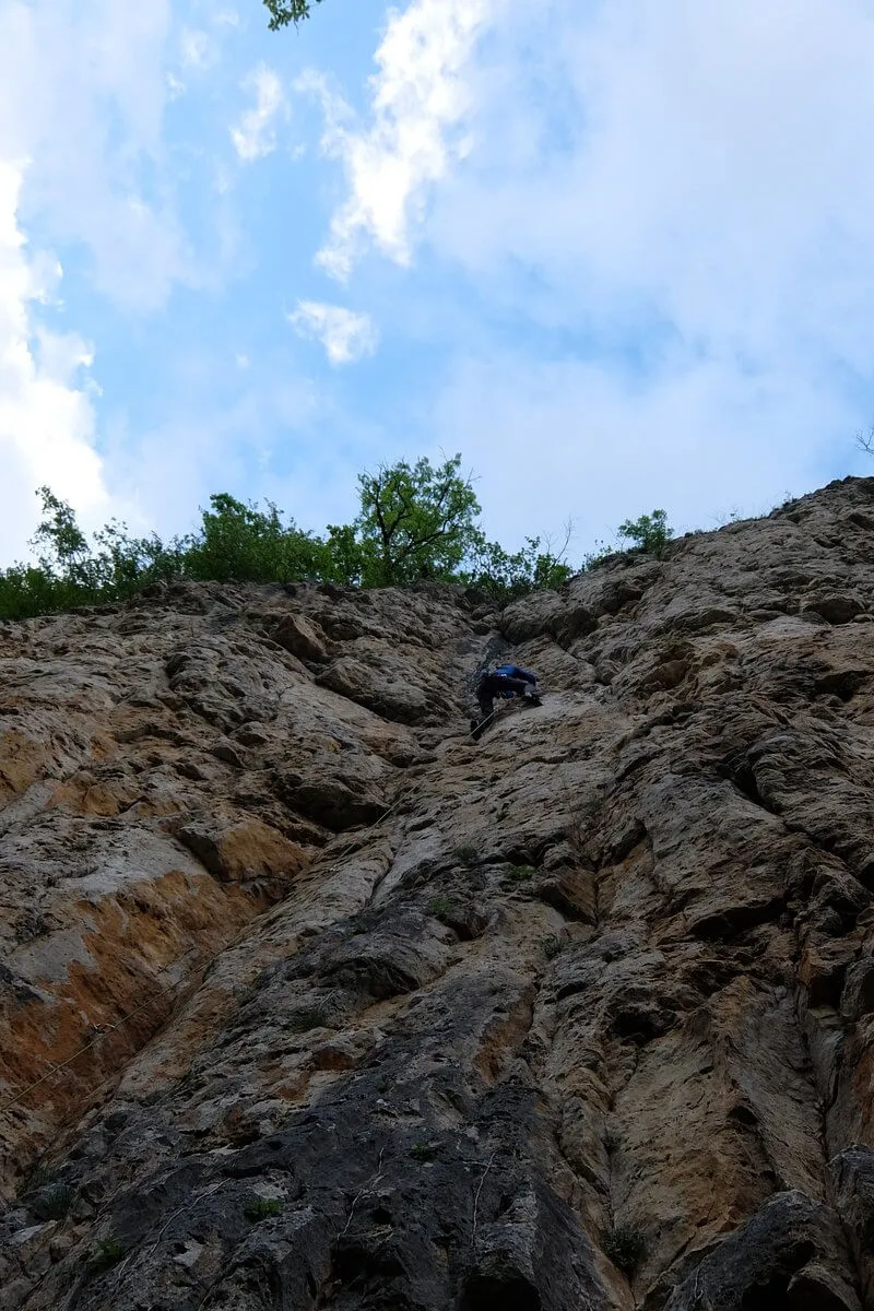 dscf8957.jpg